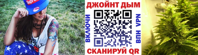 Конопля конопля  Карабаново 